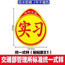 质诚鹏业 汽车实习贴标新手上路车贴反光标磁性实习贴吸盘式磁吸停车防水