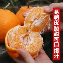 YISHUXIAN 亿舒鲜 四川春见耙耙柑 65mm以上 2斤