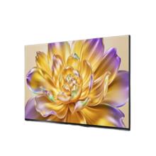 海信 Hisense 100E8Q-PRO 液晶电视 100英寸 4K