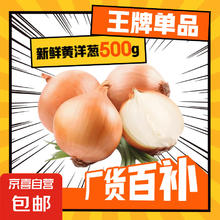 京喜加 云南黄洋葱 500g