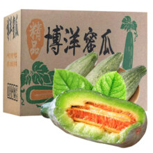 蔬农联 山东头茬羊角蜜瓜  精选2斤装