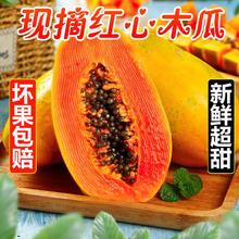 百亿补贴：万峰村庄 海南冰糖红心木瓜 青皮木瓜 牛奶木瓜 新鲜水果 整箱批发