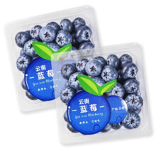 陇百味 正宗云南蓝莓花香 4盒*100g（净重400g）单果12mm+