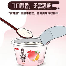 三元 真的有爆珠酸奶130g杯*9件