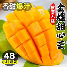 庾丰 国产 大青皮金煌芒果 5斤装（净果4.5斤）单果200g+