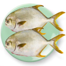 翔泰海南二去金鲳鱼700g/2条  去鳃去内脏 烧烤 生鲜鱼类  海鲜水产