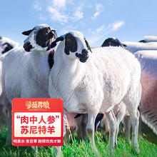蒙盛君粮 内蒙古羊小腿肉 2斤 苏尼特羊腿手把肉煲汤炖煮源头直发 羊小腿2斤