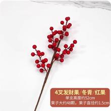 无品牌 干花 4叉发财果大果 仿真花摆件 颜色分类：4叉 发财果大果【1支】