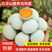 九华山绿壳鸡蛋新鲜乌鸡蛋正宗农村土鸡蛋林间散养土鸡蛋35-45g 10枚乌鸡蛋