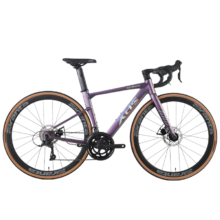 再降价、20点、PLUS：喜德盛 公路自行车 AD300 18速 24款幻彩紫/银 700C*480