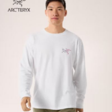 38节、预售：ARC'TERYX 始祖鸟 KRAGG COTTON HEATMAP LS  棉质长袖T White Light/Multi/石膏白