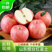 喵满分 纯牛奶200ml*24 脱脂3.6g乳蛋白