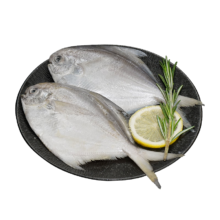 需首购：海鼎纪 舟山海捕大号银鲳鱼400g*3包 4条/包