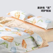 百丽丝 水星集团旗下 A类可水洗夏凉被  150cm×200cm