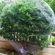 沐芸 果树防鸟网 2厘米孔5米x5米/适用1.5米高树