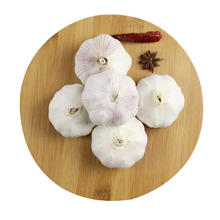 限移动端：佳农 金乡大蒜 500g