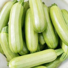新鲜西葫芦山东农家自种现摘现发当季绿色蔬菜 角瓜 西葫芦 2斤