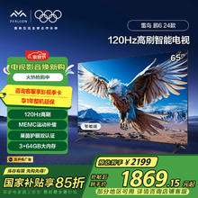 雷鸟 鹏6 24款 电视机65英寸 120Hz动态加速 高色域 3+64GB 65S375C-J 65英寸 鹏6 24款
