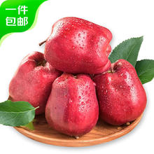 京鲜生 甘肃天水花牛苹果 2kg 单枚190g起 源头直发