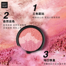 MARIE DALGAR 玛丽黛佳 元气风动三色腮红 #01云雾粉 6g