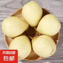 河北水晶鸭梨 单果180g起 带箱2斤 单果180g起