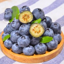 云南蓝莓 125g*6盒15mm