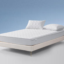 百丽丝 抗菌防螨床护垫 120cm×195cm 丁香灰