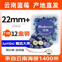 田拾记 云南蓝莓花香蓝莓超大果新鲜水15mm+】 125g*6盒|净100g