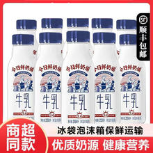 新希望今日鲜奶铺255ml学生营养早餐奶纯牛奶低温冷鲜牛奶10瓶