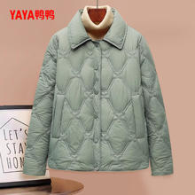 YAYA 鸭鸭轻薄羽绒服女翻领短款季小个子时尚休闲菱形鸭绒外套