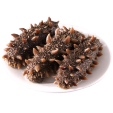 百亿补贴：久年 深海冷冻辽刺参 生鲜海鲜水产礼盒 500g 净重 简装15-19头