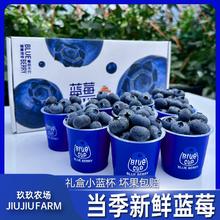 百亿补贴：玖玖农场 云南蓝莓 60g/杯 8杯装 当季新鲜国产蓝莓18mm+ 水果限量小蓝杯礼盒