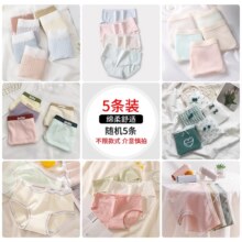 【官补】5条黛尔佳人纯棉女士内裤