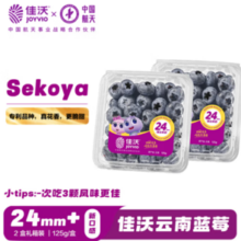 佳沃 云南蓝莓 sekoya系列 24mm+ 125g/盒 2盒装