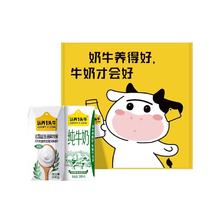认养一头牛 纯牛奶酸奶 2盒 纯酸品鉴装M