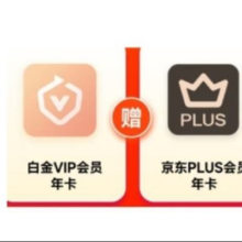 爱奇艺白金VIP会员年卡12个月+京东PLUS会员年卡 支持电视端