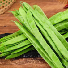 山东扁豆角1斤装