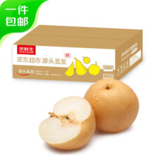 PLUS会员：京鲜生 莱阳羊脂秋月梨 净重3斤 单果200g+