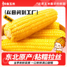 16.9/250g*10根！东北甜糯鲜玉米