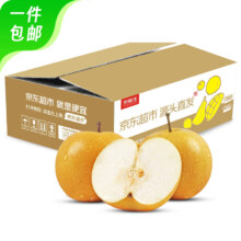 PLUS会员：京鲜生 山东冰糖秋月梨 净重3斤 单果270g+