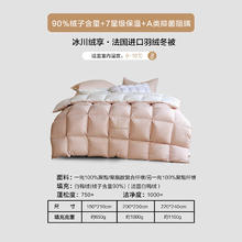 水星家纺 法国羽绒冬被 A类抑菌90%白鸭绒被芯防钻绒保暖秋冬羽绒被子 冰川绒享·法国羽绒冬被 150x210cm