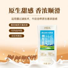 中垦牧 高钙厚乳纯牛奶200g*10盒（礼盒装） 3.8g优质乳蛋白 沙漠奶源