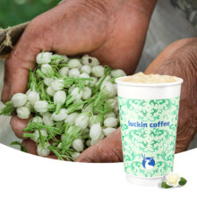 新品上市：luckin coffee 瑞幸咖啡 鲜萃轻轻茉莉 电子优惠券