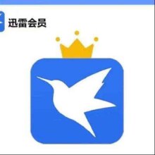 迅雷 白金会员 12个月 直充自己手机号