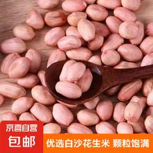 京喜 现剥新白沙花生米五谷杂粮粒大米新货花生粉皮大粒花生米无壳 精选大粒(1斤装 500g)