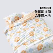 BLISS 百丽丝 抗菌可水洗空调被夏凉被 花雾夏被 200*230cm