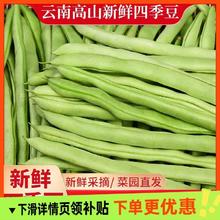 新鲜现摘四季豆云南豆角农家自种应季蔬菜长扁芸豆子整箱包邮炒菜