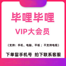 再降价：哔哩哔哩大会员年卡12个月 1年卡 哔哩大会员年卡
