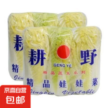 新鲜精品娃娃菜 3棵 *1包