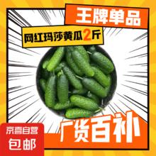 新鲜玛莎小黄瓜保鲜发货农家自种出口品质小黄瓜主打新鲜可以腌制 玛莎小黄瓜 2斤 新鲜精选